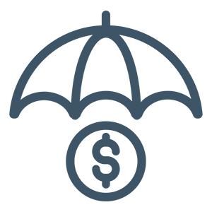 Insured Cash Sweep Icon